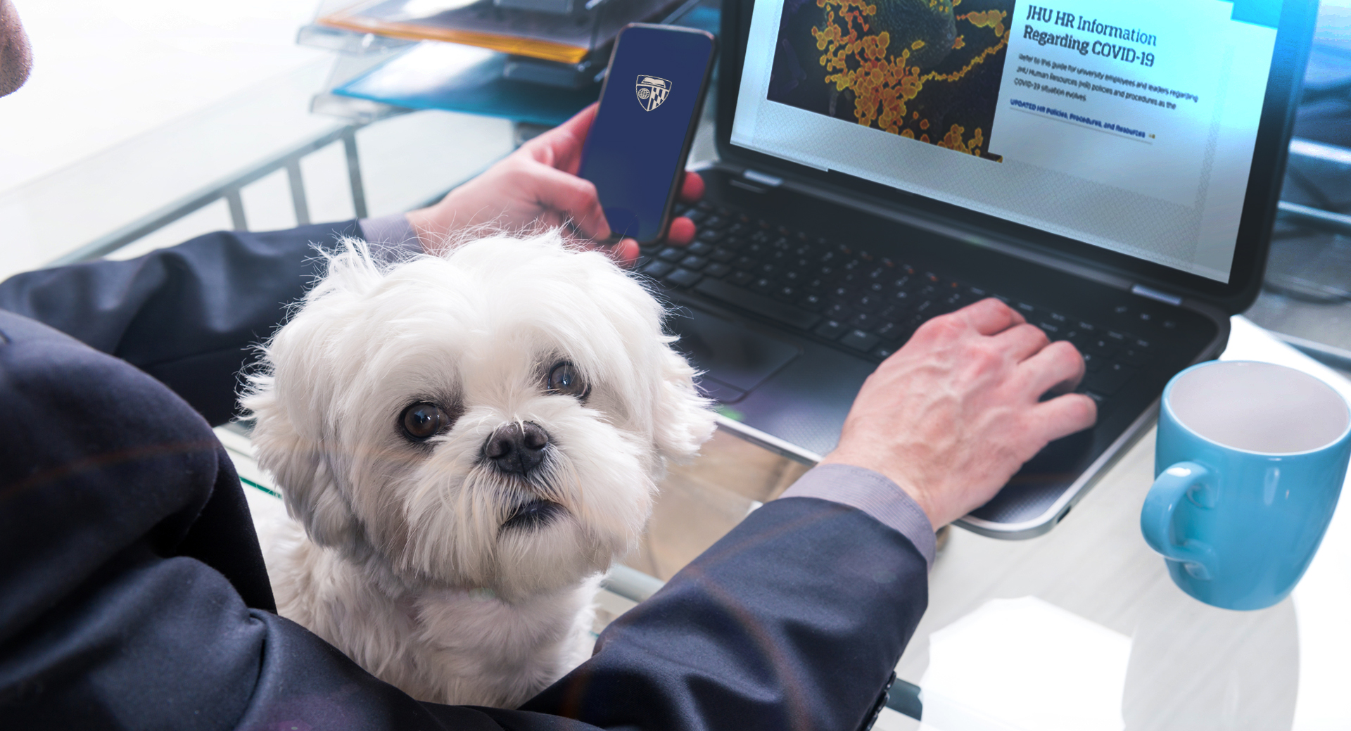 Home Office with Dog